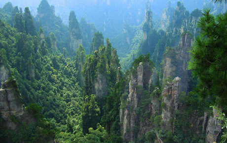 �������Y