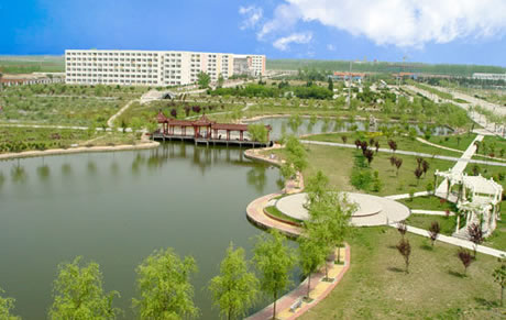 �������Y