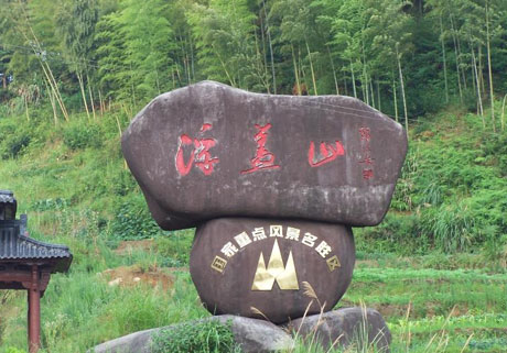 �������Y