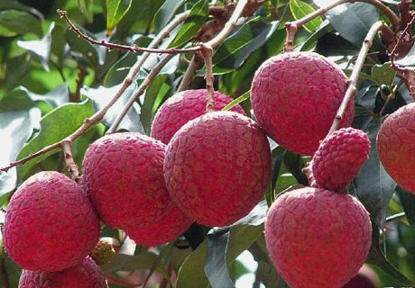 �������Y