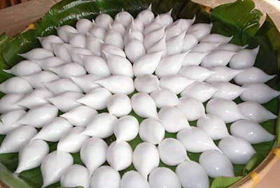 �������Y