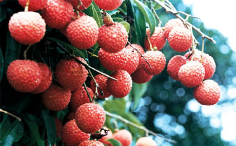 �������Y