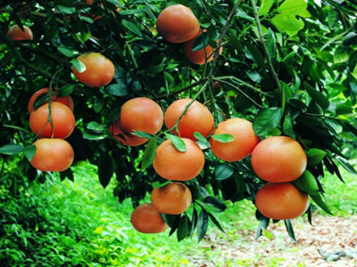 �������Y