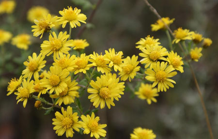 �������Y