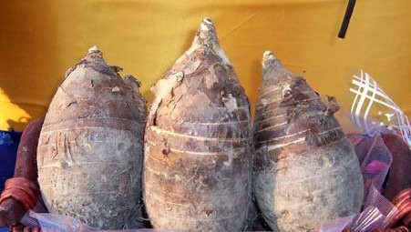 �������Y