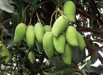 �������Y