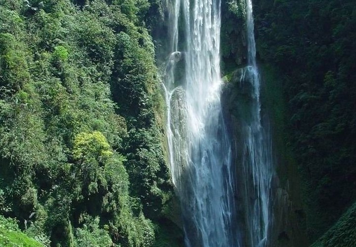 �������Y