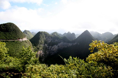 �������Y