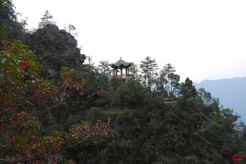 �������Y