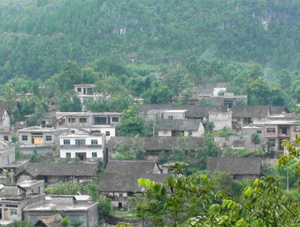 �������Y