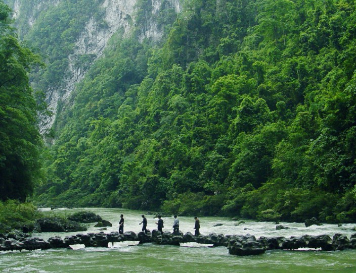 �������Y