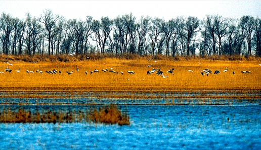 �������Y