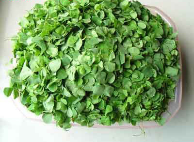 �������Y