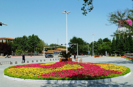 �������Y