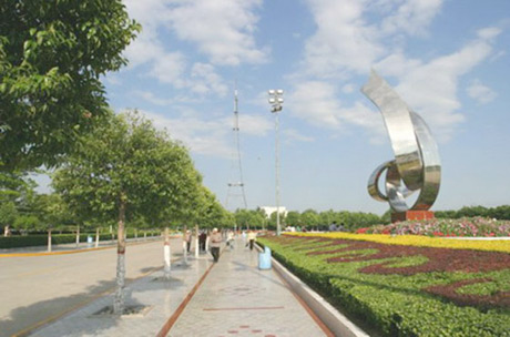 �������Y