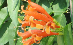 �������Y