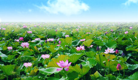 �������Y