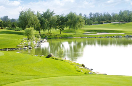 �������Y