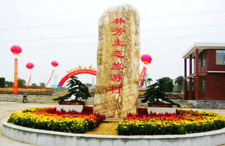 �������Y