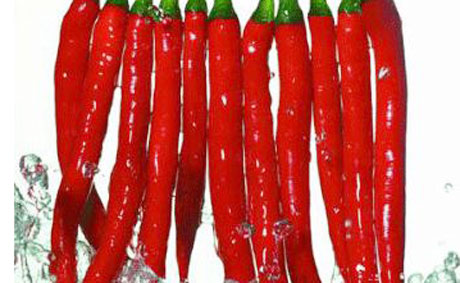 �������Y