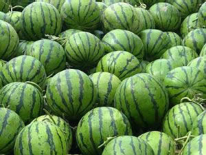 �������Y