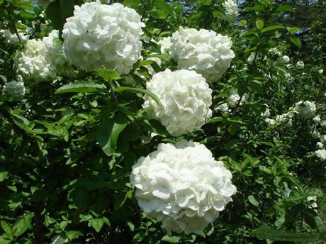 �������Y