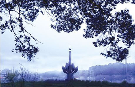 �������Y