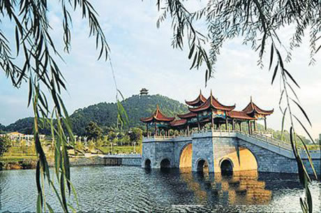 �������Y