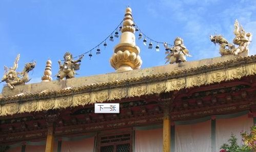 �������Y