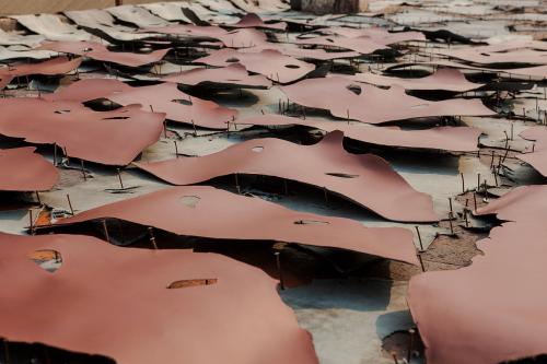 �������Y