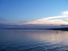 �������Y