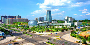 �������Y