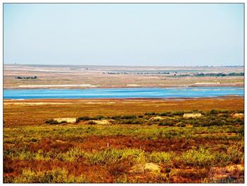 �������Y