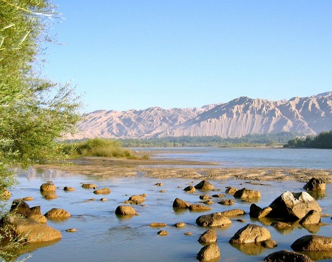 �������Y