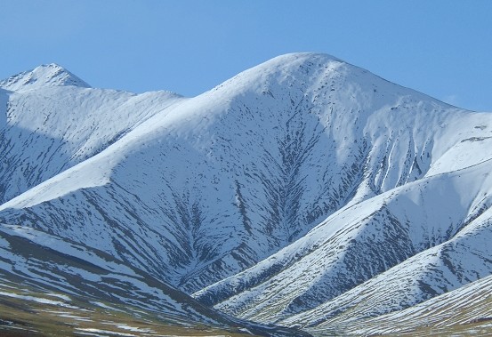 �������Y