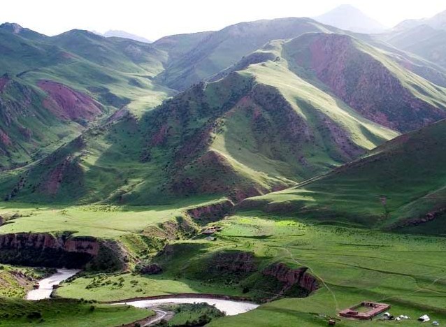 �������Y