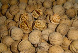 �������Y