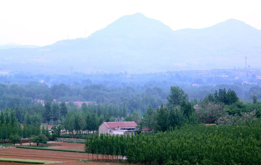 �������Y