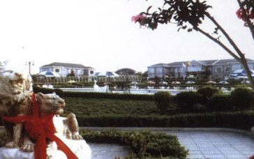 �������Y