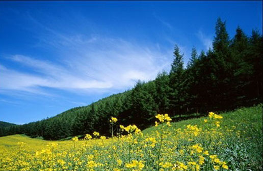 �������Y