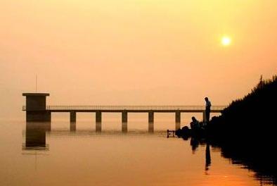 �������Y