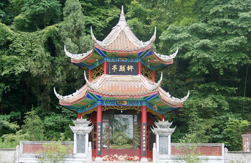 �������Y