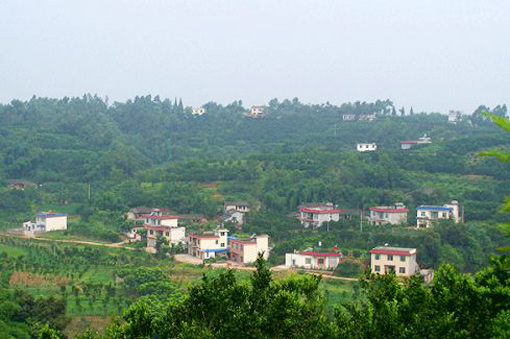 �������Y