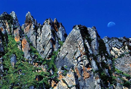 �������Y