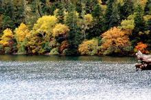 �������Y