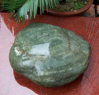 �������Y