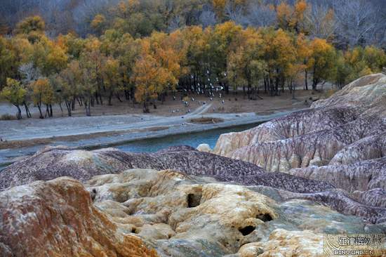 �������Y