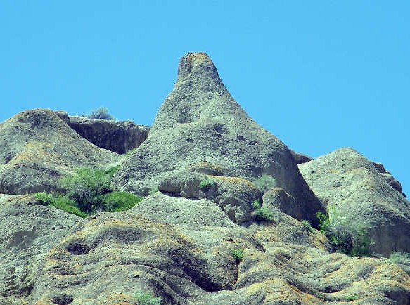 �������Y