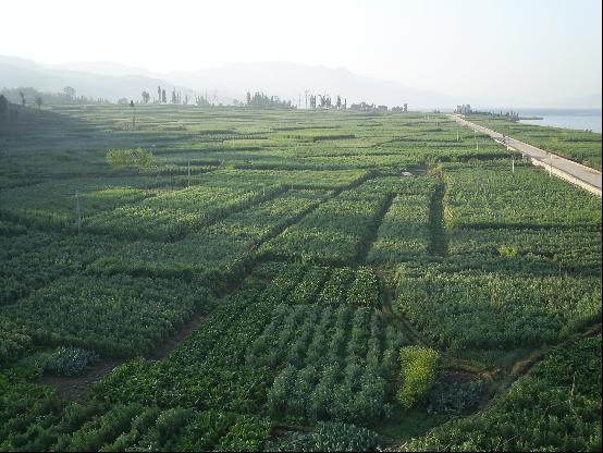 �������Y