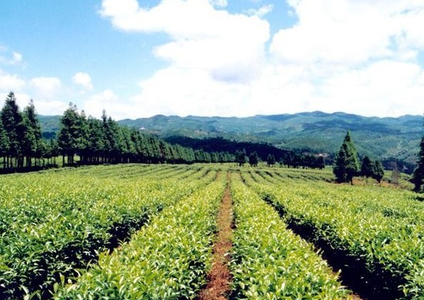 �������Y